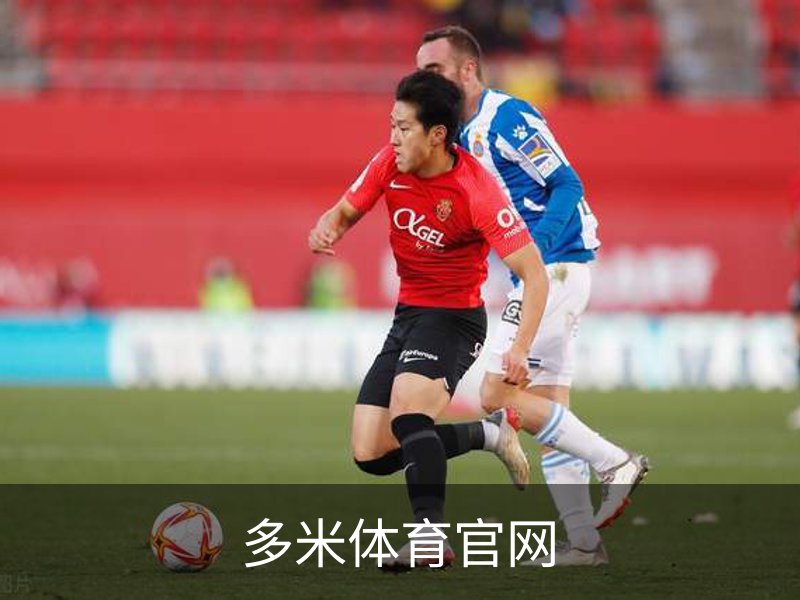 多米体育官网介绍